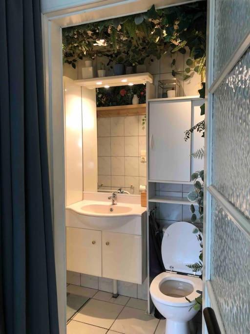 Studio Zeezucht Blankenberge Exterior foto